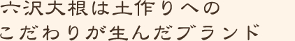 六沢大根は土づくりへのこだわりが生んだブランド