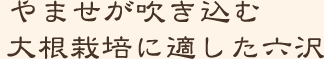 やませが吹き込む大根栽培に適した六沢